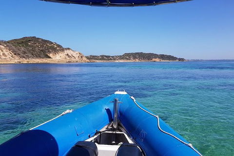 Dolphin And Seal Swim Reef Snorkel Boat Tour Mornington Peninsula - Perths Hotel 6