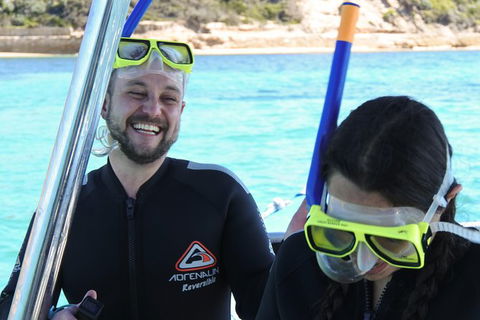 Dolphin And Seal Swim Reef Snorkel Boat Tour Mornington Peninsula - Perths Hotel 17