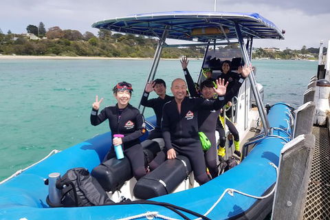 Dolphin And Seal Swim Reef Snorkel Boat Tour Mornington Peninsula - Perths Hotel 16