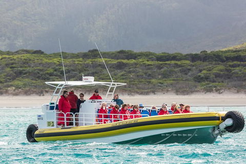 Wilsons Promontory Wilderness Cruise From Tidal River - Perths Hotel 2