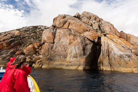 Wilsons Promontory Wilderness Cruise From Tidal River - Perths Hotel 4