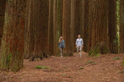 Great Ocean Road Walk & 12 Apostles Private Luxury Tour - 3 Days - Perths Hotel 6