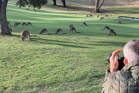 Great Ocean Road Walk & 12 Apostles Private Luxury Tour - 3 Days - Perths Hotel 1