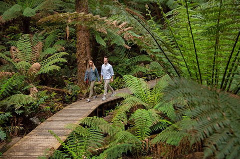 Great Ocean Road Walk & 12 Apostles Private Luxury Tour - 3 Days - Perths Hotel 7