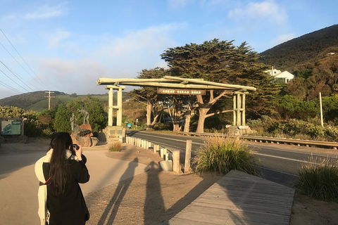 Great Ocean Road Express Private Tour - A Highlights Tour With A Local (8 Hours) - Perths Hotel 4