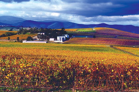 Behind-the-Scenes De Bortoli Gourmet Food And Wine Tasting Tour Including 3-Course Lunch - Perths Hotel 2
