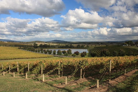 LGBT+ Friendly Full Day Yarra Valley & Dandenong Ranges Private Tour - Perths Hotel 0