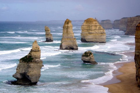 LGBT+ Friendly 2 Day Private Tour Great Ocean Road + Phillip Island - Perths Hotel 0