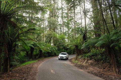 LGBT+ Friendly 3 Day Tour The Grampians, Daylesford & Ballarat - Perths Hotel 1