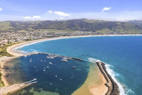 Great Ocean Road Private Tours (Up To 7 Persons) - Perths Hotel 3