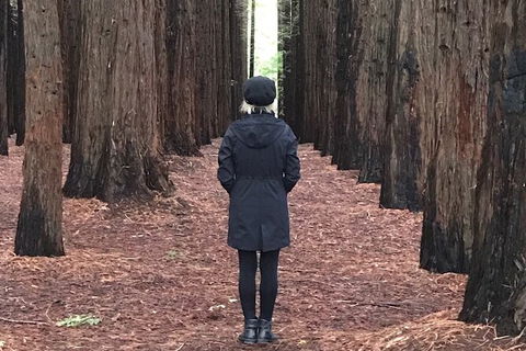 Private Aqueduct To California Redwoods Hiking Tour - Perths Hotel 1