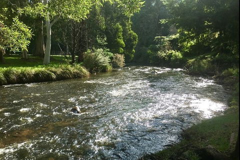 Watertube Experience In Yarra River - Perths Hotel 3