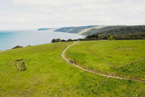 Walk With Wildlife: Guided Tour In Great Ocean Road - Perths Hotel 3
