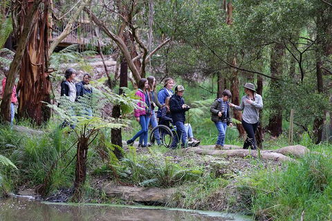 Walk With Wildlife: Guided Tour In Great Ocean Road - Perths Hotel 4