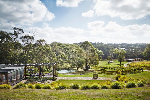 Mornington Peninsula 2-6 Guests Lunch Rare Hare Or Merricks General Wine Store - Perths Hotel 3