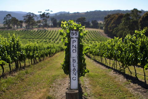 Mornington Peninsula 2-6 Guests Lunch Rare Hare Or Merricks General Wine Store - Perths Hotel 5