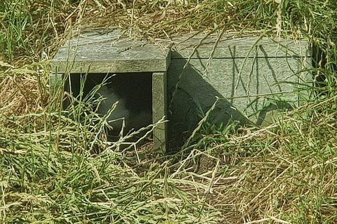 Phillip Island Penguin And Wildlife Tour - Perths Hotel 11