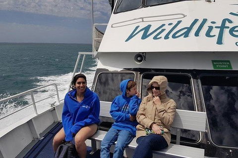 Phillip Island Penguin And Wildlife Tour - Perths Hotel 15