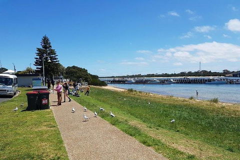 Phillip Island Penguin And Wildlife Tour - Perths Hotel 25