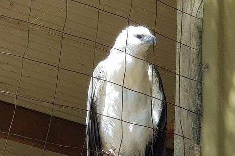 Phillip Island Penguin And Wildlife Tour - Perths Hotel 21