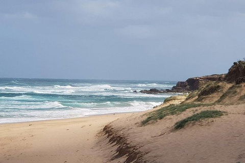 Phillip Island Penguin And Wildlife Tour - Perths Hotel 10