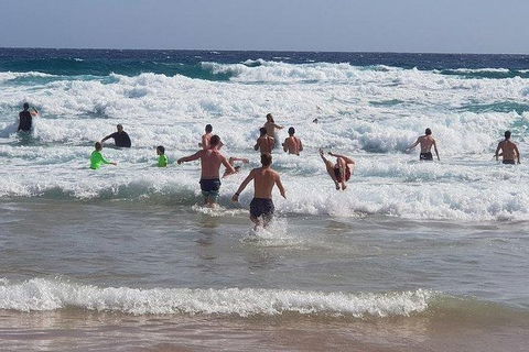 Phillip Island Penguin And Wildlife Tour - Perths Hotel 18