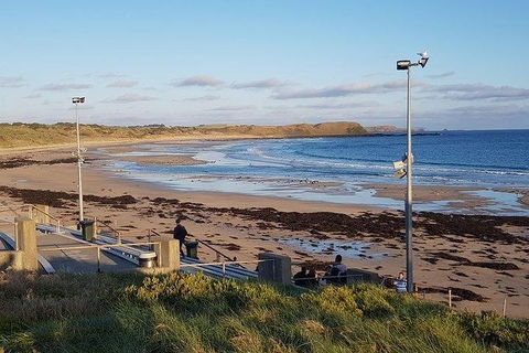 Phillip Island Penguin And Wildlife Tour - Perths Hotel 8