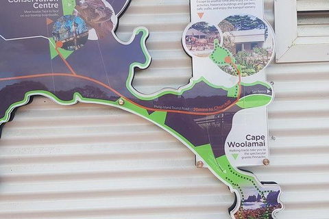 Phillip Island Penguin And Wildlife Tour - Perths Hotel 29