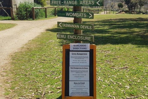 Phillip Island Penguin And Wildlife Tour - Perths Hotel 4