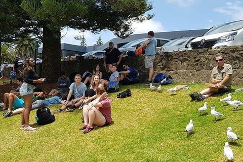 Phillip Island Penguin And Wildlife Tour - Perths Hotel 22