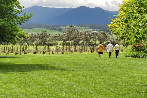 Yarra Valley Wine Tasting Day Tour From Melbourne - Perths Hotel 6