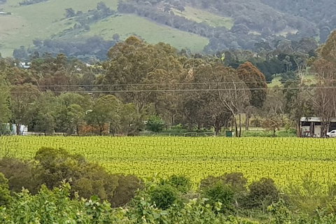 Day Tour Of Yarra Valley Puffing Billy And Rayners Orchard - Perths Hotel 44