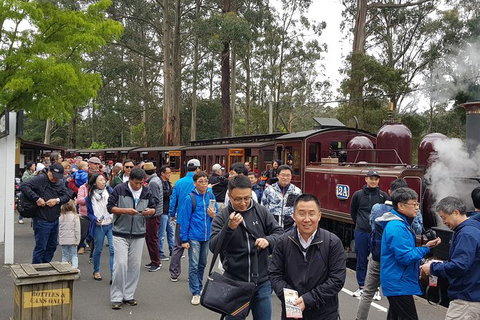 Day Tour Of Yarra Valley Puffing Billy And Rayners Orchard - Perths Hotel 3