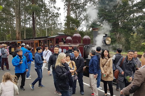 Day Tour Of Yarra Valley Puffing Billy And Rayners Orchard - Perths Hotel 18