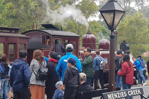 Day Tour Of Yarra Valley Puffing Billy And Rayners Orchard - Perths Hotel 40