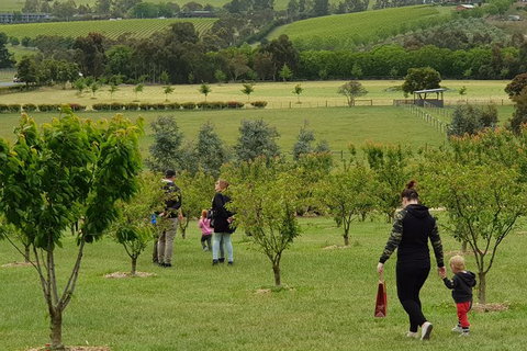 Day Tour Of Yarra Valley Puffing Billy And Rayners Orchard - Perths Hotel 36
