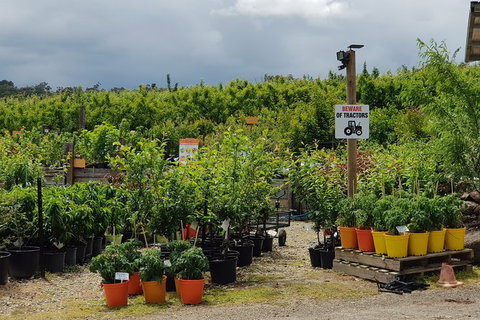 Day Tour Of Yarra Valley Puffing Billy And Rayners Orchard - Perths Hotel 46