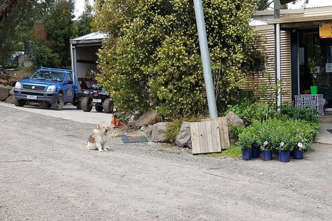 Day Tour Of Yarra Valley Puffing Billy And Rayners Orchard - Perths Hotel 6