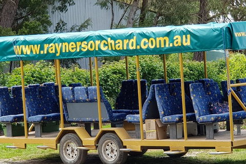 Day Tour Of Yarra Valley Puffing Billy And Rayners Orchard - Perths Hotel 33
