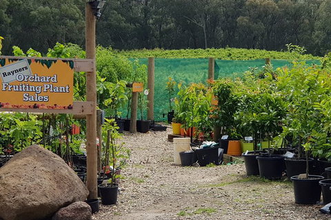 Day Tour Of Yarra Valley Puffing Billy And Rayners Orchard - Perths Hotel 22