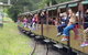 Day Tour Of Yarra Valley Puffing Billy And Rayners Orchard - thumb 13