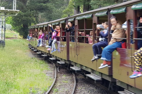 Day Tour Of Yarra Valley Puffing Billy And Rayners Orchard - Perths Hotel 13
