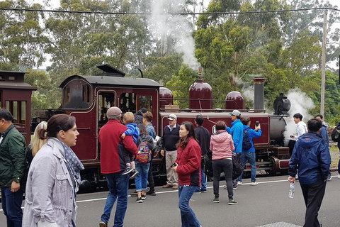 Day Tour Of Yarra Valley Puffing Billy And Rayners Orchard - Perths Hotel 4