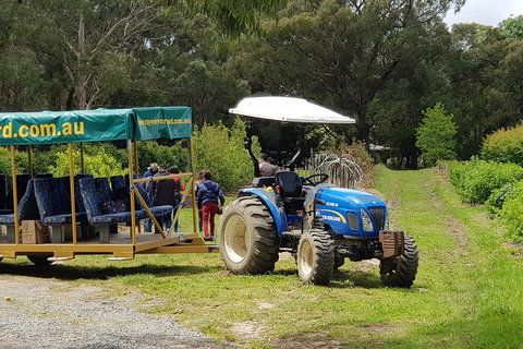 Day Tour Of Yarra Valley Puffing Billy And Rayners Orchard - Perths Hotel 25