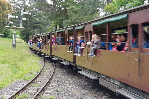 Day Tour Of Yarra Valley Puffing Billy And Rayners Orchard - Perths Hotel 24