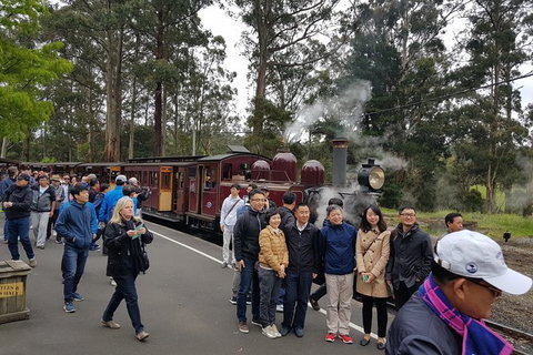 Day Tour Of Yarra Valley Puffing Billy And Rayners Orchard - Perths Hotel 9