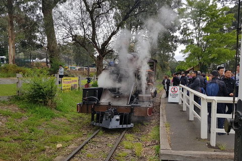Day Tour Of Yarra Valley Puffing Billy And Rayners Orchard - Perths Hotel 43