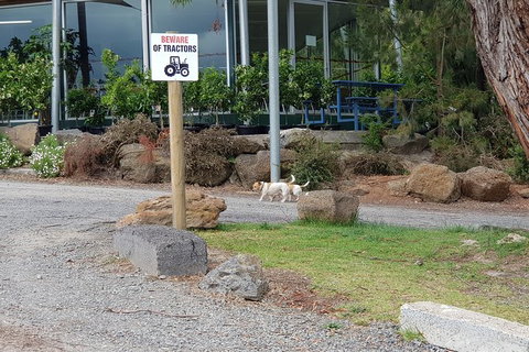 Day Tour Of Yarra Valley Puffing Billy And Rayners Orchard - Perths Hotel 2