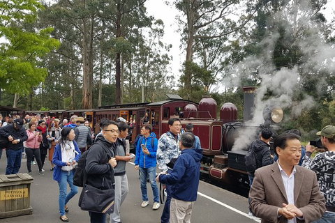 Day Tour Of Yarra Valley Puffing Billy And Rayners Orchard - Perths Hotel 12