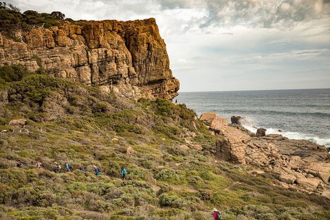 Guided Walks On The Cape To Cape - Moses Rock To Ellenbrook - Perths Hotel 5